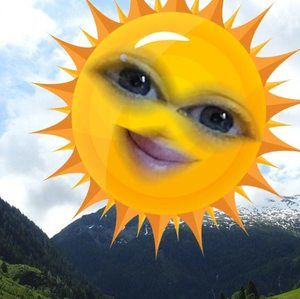 Meet your Posher, Sunny